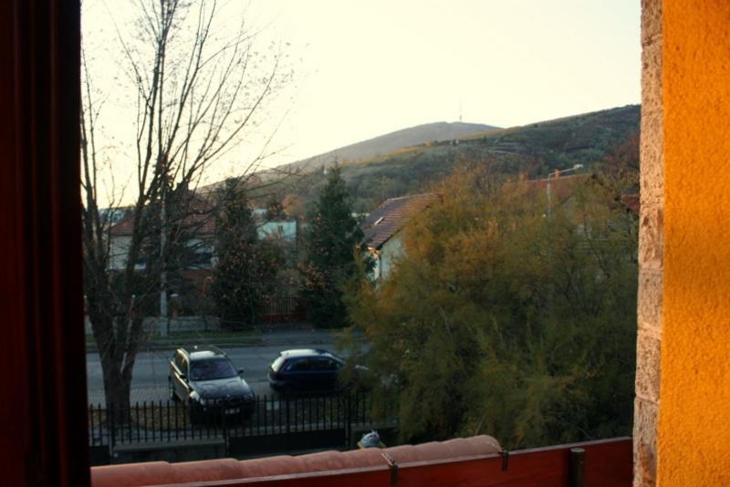 5 Puttonyos Vendeghaz Villa Tokaj Exterior photo